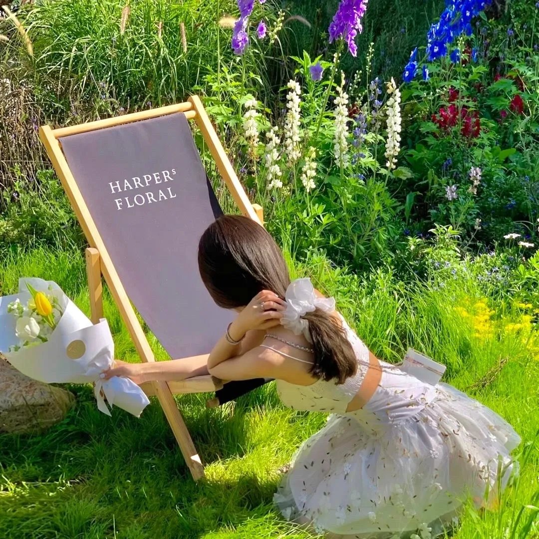 戏精女主桃花多